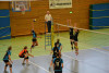 Dresdner SSV - VC Gera 3:1 (19. November 2011)