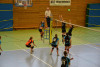 Dresdner SSV - VC Gera 3:1 (19. November 2011)