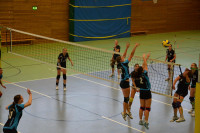 Dresdner SSV - VC Gera 3:1 (19. November 2011)