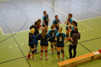Dresdner SSV - VC Gera 3:1 (19. November 2011)