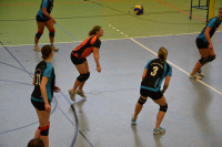 Dresdner SSV - VC Gera 3:1 (19. November 2011)