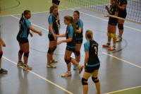 Dresdner SSV - VC Gera 3:1 (19. November 2011)
