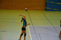 Dresdner SSV - VC Gera 3:1 (19. November 2011)