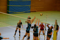 Dresdner SSV - VC Gera 3:1 (19. November 2011)