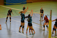 Dresdner SSV - VC Gera 3:1 (19. November 2011)