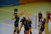 Dresdner SSV - VC Gera 3:1 (19. November 2011)