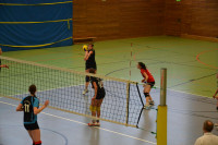Dresdner SSV - VC Gera 3:1 (19. November 2011)