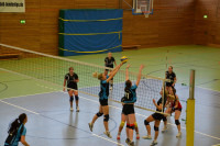 Dresdner SSV - VC Gera 3:1 (19. November 2011)