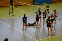 Dresdner SSV - VC Gera 3:1 (19. November 2011)