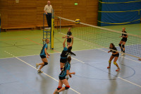 Dresdner SSV - VC Gera 3:1 (19. November 2011)