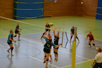 Dresdner SSV - VC Gera 3:1 (19. November 2011)