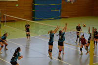 Dresdner SSV - VC Gera 3:1 (19. November 2011)