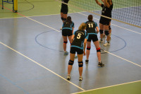 Dresdner SSV - VC Gera 3:1 (19. November 2011)