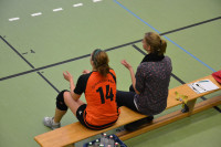 Dresdner SSV - VC Gera 3:1 (19. November 2011)