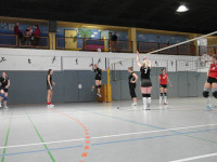 Punktspiel 04.02.2012 (5. Februar 2012)