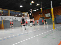 Punktspiel 04.02.2012 (5. Februar 2012)