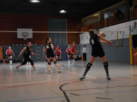 Punktspiel 04.02.2012 (5. Februar 2012)