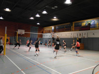 Punktspiel 04.02.2012 (5. Februar 2012)