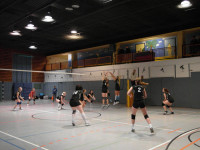 Schade schade ...